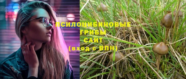 мескалин Киреевск